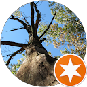 Brad Forbes profile picture