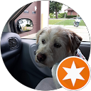 Suzanne Frost profile picture